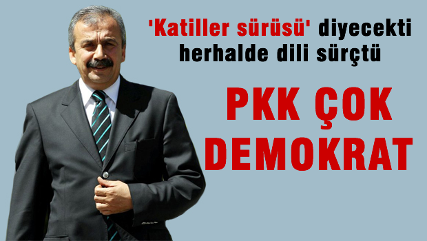 Sırrı Süreyya Önder: PKK çok demokratik bir yapı