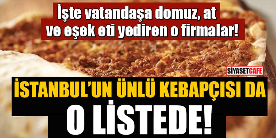 İşte vatandaşa domuz, at ve eşek eti yediren o firmalar! İstanbul'un ünlü kebapçısı da o listede