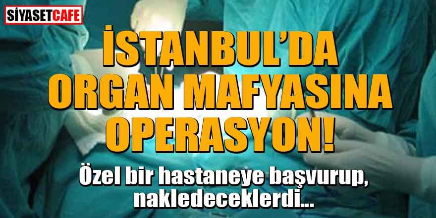 İstanbul'da organ mafyası çökertildi! 5 tutuklama
