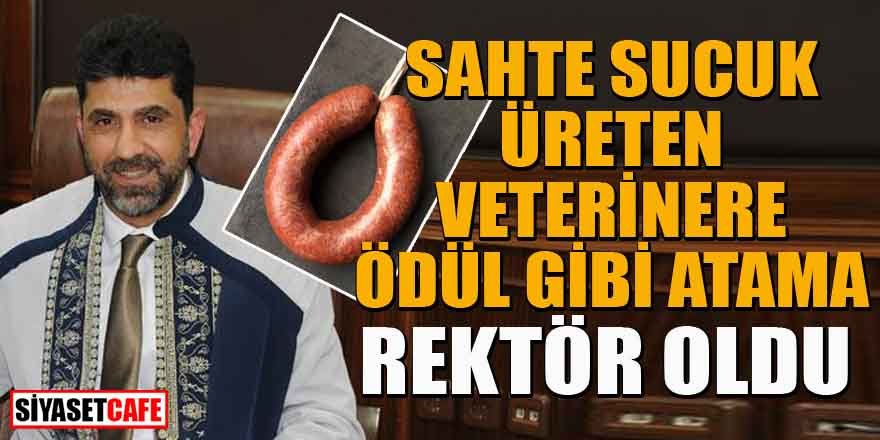 Sahte sucuk üreten veterine ödül gibi atama! Rektör oldu