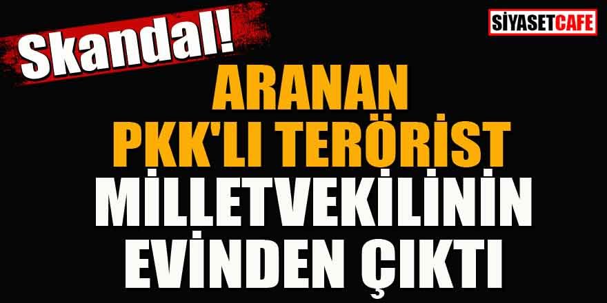 Aranan PKK'lı terörist milletvekilinin evinden çıktı!