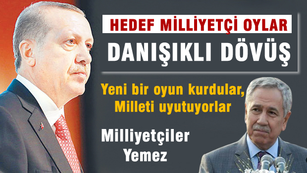 Yeni bir oyun kurdular, Hedef Milliyetçi oylar