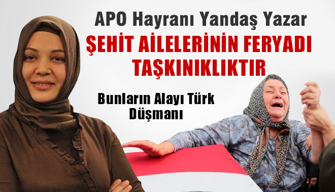 Hilal Kaplan'a Göre Feryatlar 'Taşkınlık'