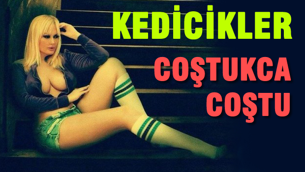 Kedicikler coştukca coştu