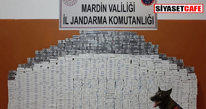 Mardin'de bin 470 paket kaçak sigara ele geçirildi