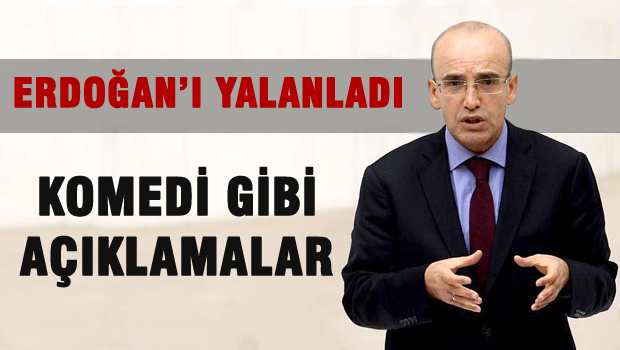Şimşek: Türkiye'de Kürt sorunu vardır