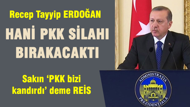 Hani bunlar çözüm süreci ile beraber silahları bırakacaklardı?