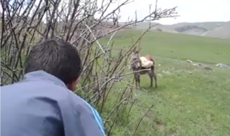 Paylaşım rekoru kıran video