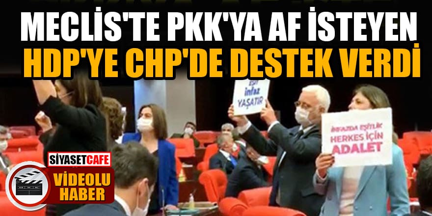 Meclis'te PKK'ya af isteyen HDP'ye CHP'de destek verdi