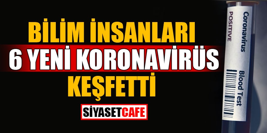 Bilim insanları 6 yeni koronavirüs keşfetti