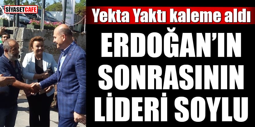 Yekta Yaktı kaleme aldı: Erdoğan'ın sonrasının lideri Soylu!