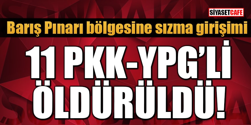 Barış Pınarı bölgesine sızma girişimi:11 PKK-YPG’li öldürüldü
