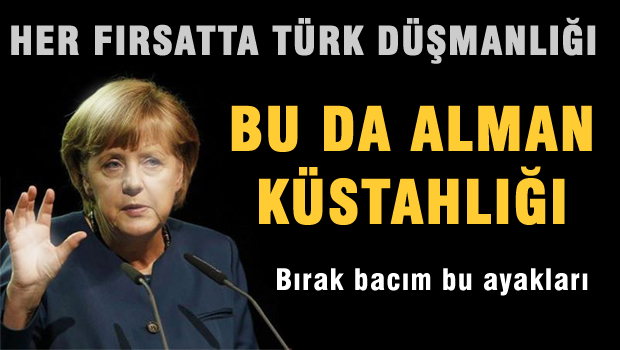 Almanya hükümetinden Ermeni tasarısına destek