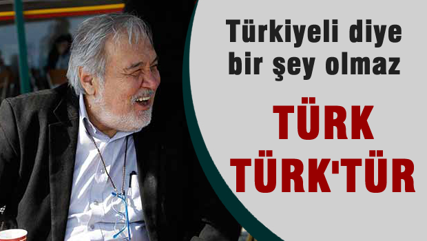 Türkiyeli diye bir şey olmaz, Türk Türk'tür