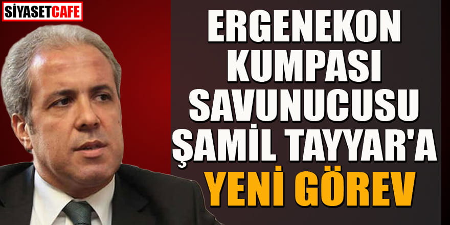 Ergenekon kumpası savunucusu Şamil Tayyar'a yeni görev