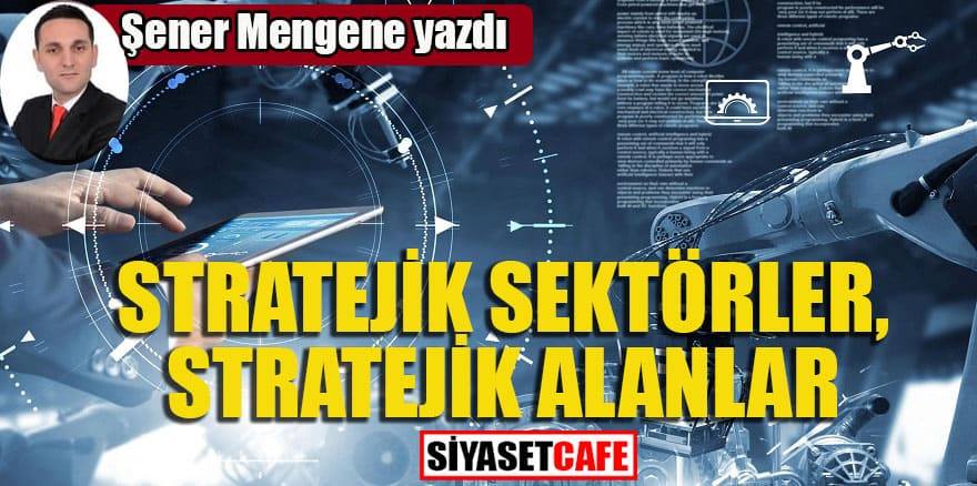 Şener Mengene:Stratejik sektörler, Stratejik alanlar