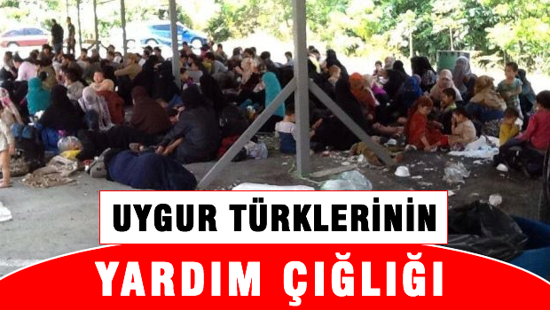 Uygur Türklerinin yardım yardım çığlığı