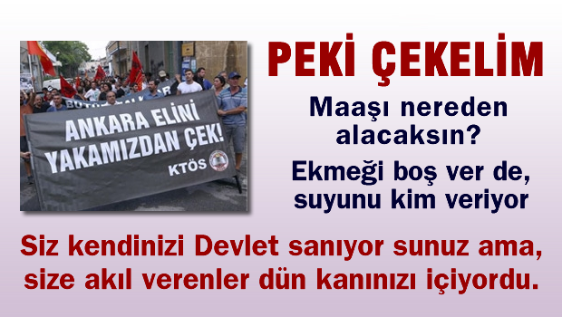 KKTC'de kardeş - yavru tartışması