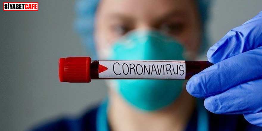 Bir ilimizde koronavirüs kontrol altına alındı! 10 gündür yeni vaka yok