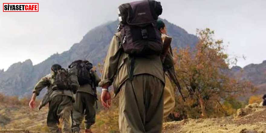 PKK'ya ağır darbe! 'Doktor' lakaplı terörist öldürüldü