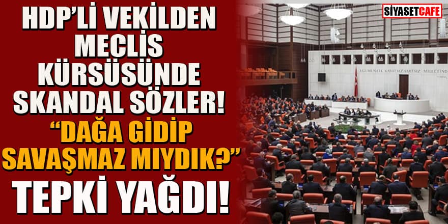 HDP İstanbul Milletvekili Hüda Kaya'dan skandal sözler: Dağa gidip savaşamaz mıydık?