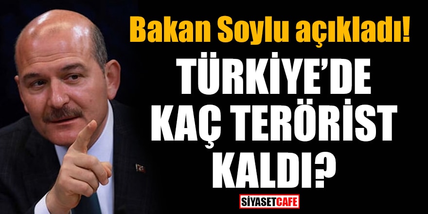 Bakan Soylu açıkladı! Türkiye'de kaç terörist kaldı?