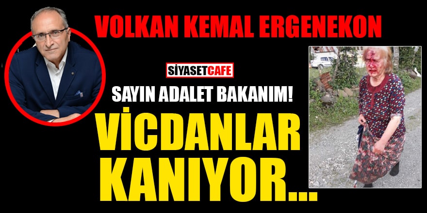 Volkan Kemal Ergenekon yazdı: Sayın Adalet Bakanım! Vicdanlar kanıyor...