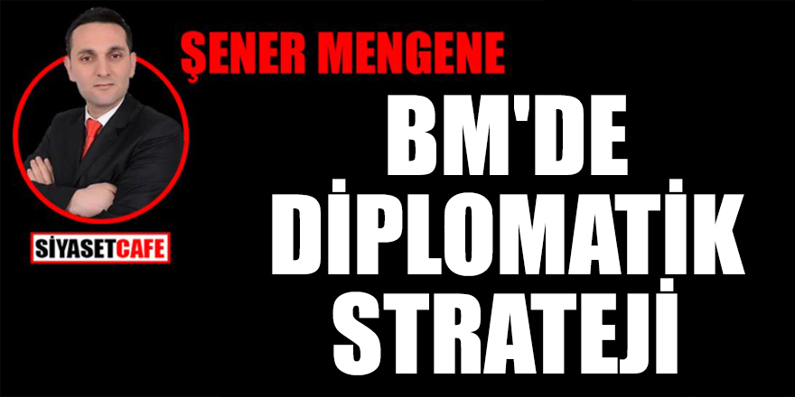 Şener Mengene yazdı: BM'de Diplomatik Strateji