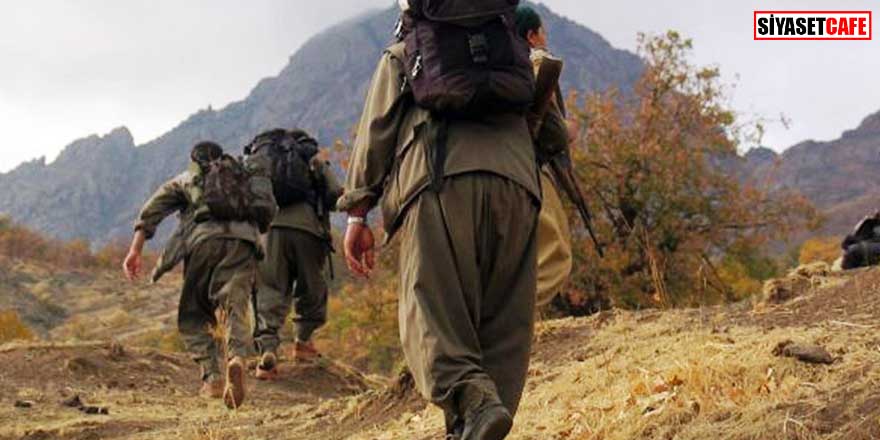 Aynı aileden 5 kişiyi şehit eden PKK'lı yakalandı