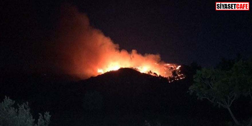 Son dakika! İzmir'de orman yangını!