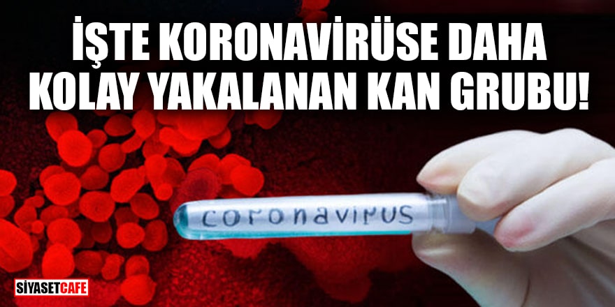 İşte koronavirüse daha kolay yakalanan kan grubu!