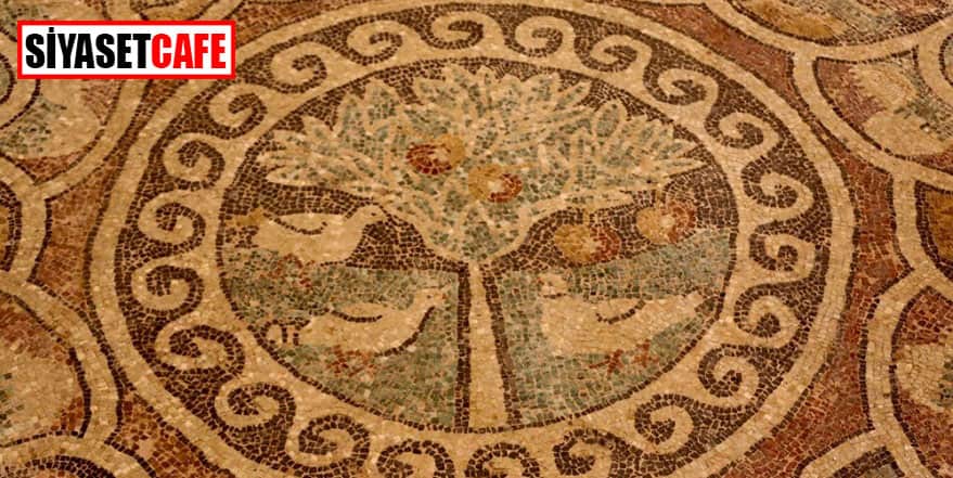 Bu mozaik tam 1800 yıllık!