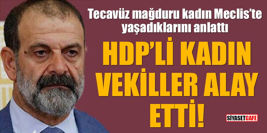Tecavüz mağduru kadın Meclis’te yaşadıklarını anlattı: HDP’li kadın vekiller alay etti