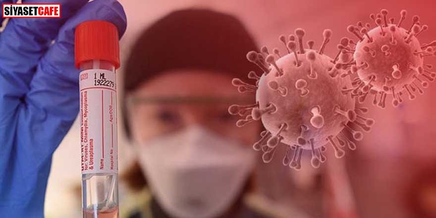 Koronavirüs dünya genelinde günlük vaka sayısı rekor kırdı
