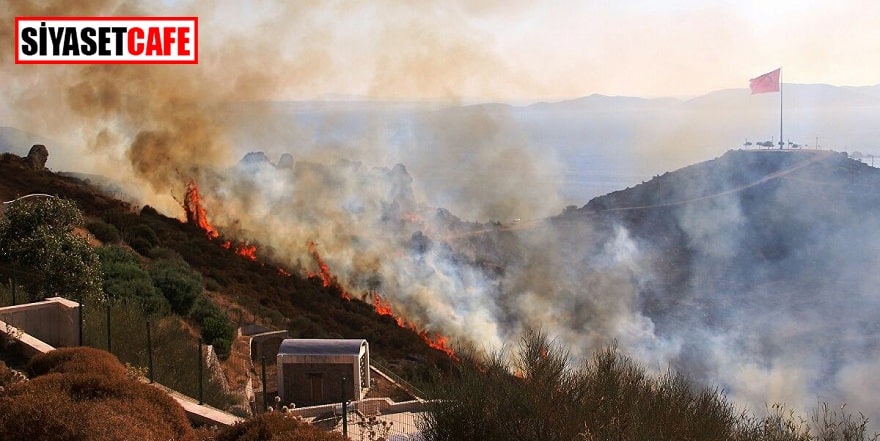 Bodrum Turgutreis’de 50 hektarlık alan yandı