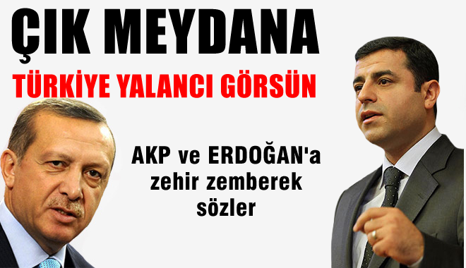 Demirtaş'tan ERDOĞAN'a 'çık meydana Türkiye yalancı görsün'