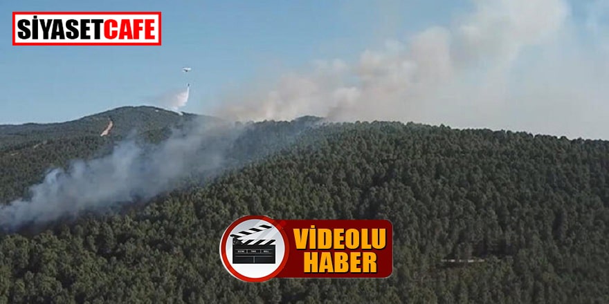 Aydos Ormanı'nda çıkan yangın kontrol altına alındı