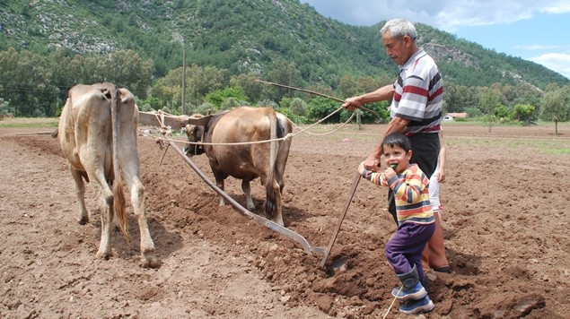 Çiftçilere kötü haber 'Ödeme yapılmayacak'