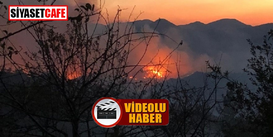 Adana Kozan’da büyük orman yangını: Evlere de sıçradı!