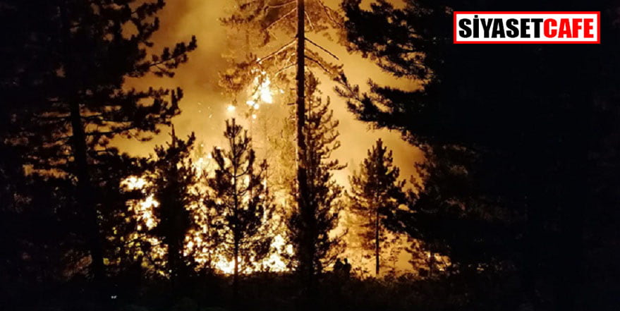 Bolu’da orman yangını çıktı, ekipler müdahale ediyor