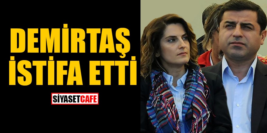 Selahattin Demirtaş'ın eşi Başak Demirtaş Milli Eğitim Bakanlığı’ndan istifa etti