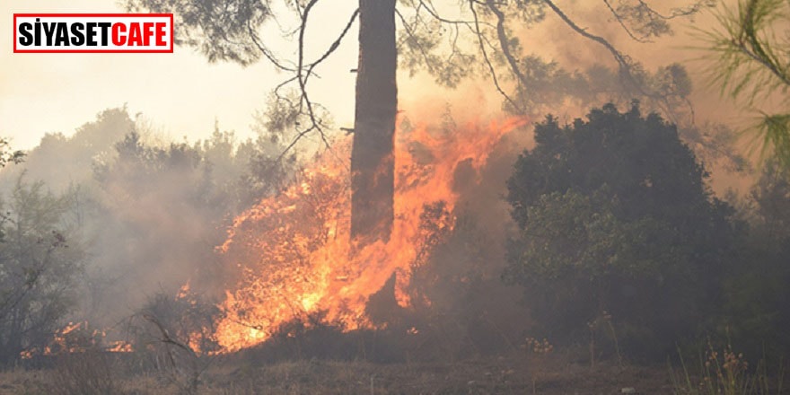 Antalya’da çıkan orman yangını için ekipler devrede