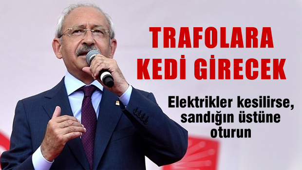 Trafolara kedi girecek, Elektrikler kesilirse sandığın üstüne oturun