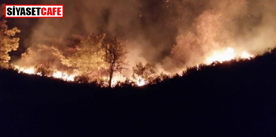 Düzce’de orman yangını