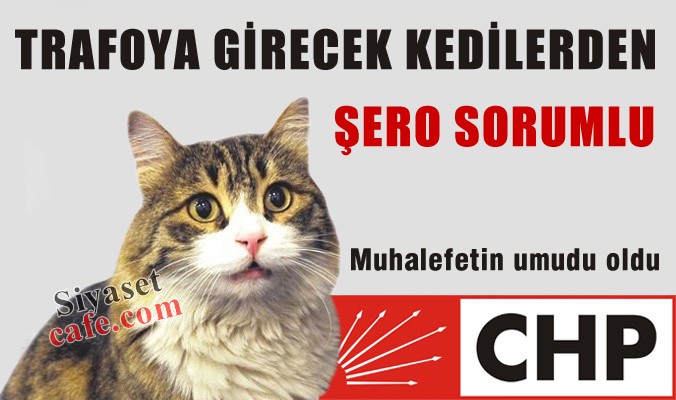 Trafoya girecek kedilerden ŞERO sorumlu