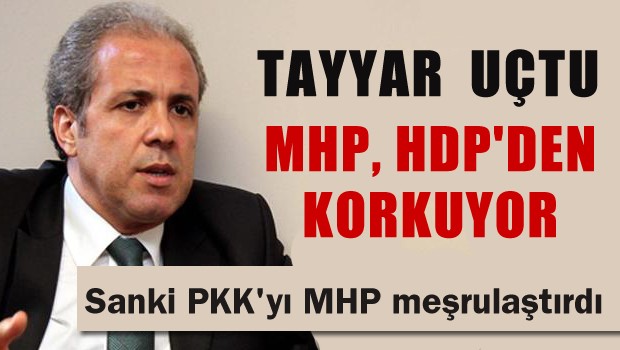 Şamil Tayyar'dan şok sözler: MHP, HDP'den çok korkuyor