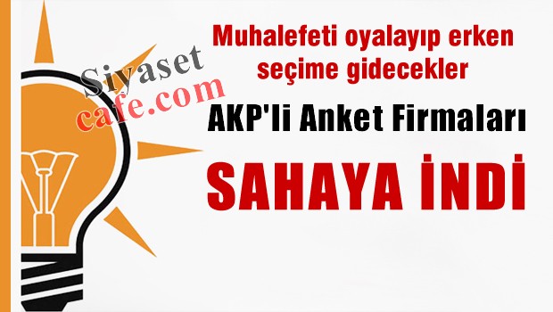 AKP'li anket firmaları sahaya indi, onlarca araştırma yapılıyor