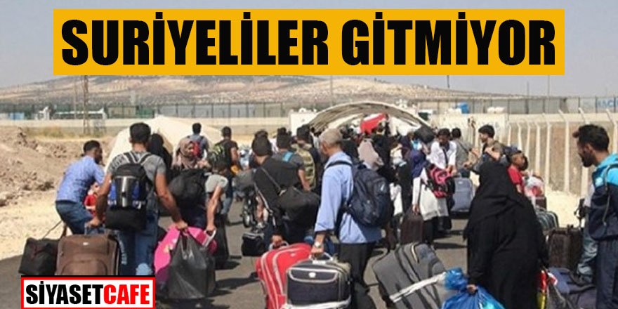 Araştırmadan çıkan sonuç: Suriyeliler gitmiyor