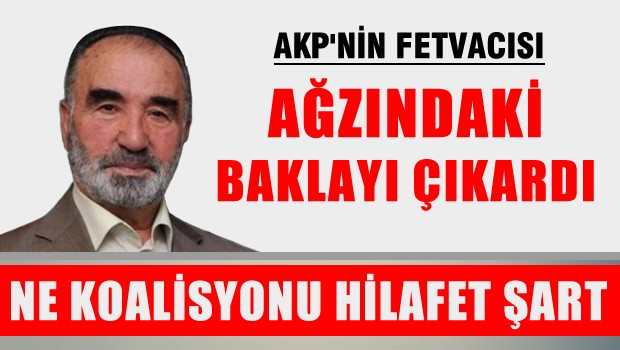 Yandaş koalisyon değil hilafet istiyor!