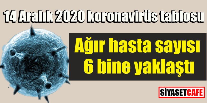 14 Aralık 2020 koronavirüs tablosu açıklandı